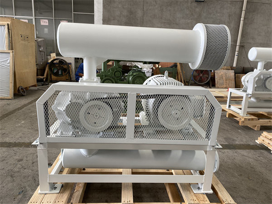 Type de racines de fonte de déplacement positif ventilateur pour Ash Blowing In Power Plant