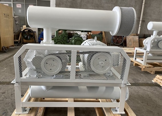 ventilateur de racines de 30m3/Min Cast Iron Three Lobe pour le transport pneumatique