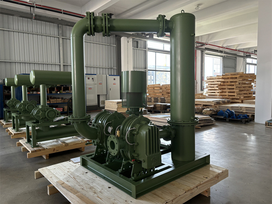 Souffleur de lobe racinaire à haute pression 100Kpa-150Kpa à deux étages DN100