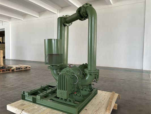 Souffleur de lobe racinaire à haute pression 100Kpa-150Kpa à deux étages DN100