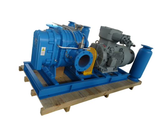 BX65 2.5'' 1.72-6.57 m³/min Soufflante Roots en acier inoxydable