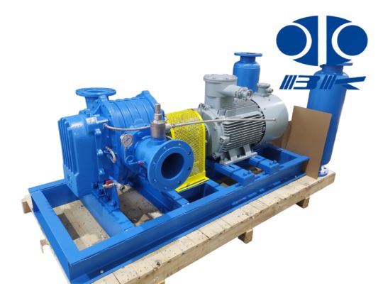 DN40 0.42-1.65m³/min Special Gas Corrosion-proof and Leakage-proof Roots Blower