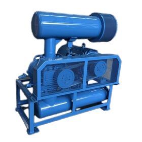 Pompes à vide à souffleur de racines modèle BV10034 avec dimension d'entrée et de sortie DN350 pour la capacité d'air sous vide dans diverses industries