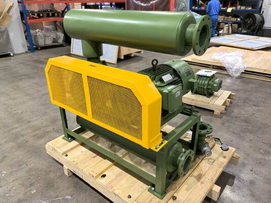 Pompes à vide à souffleur de racines modèle BV10034 avec dimension d'entrée et de sortie DN350 pour la capacité d'air sous vide dans diverses industries