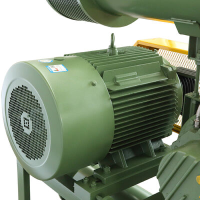 BKW4007 Water Cooled Roots Blower DN50 100KPA for Wastewater Treatment