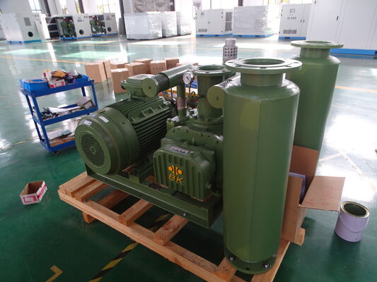 BK BV6008 Pompe à vide à lobes industriels - Soufflante à pression négative -30KPA pour système de convoyage par le vide et d'alimentation par aspiration