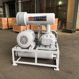 Type économique ventilateur de racines