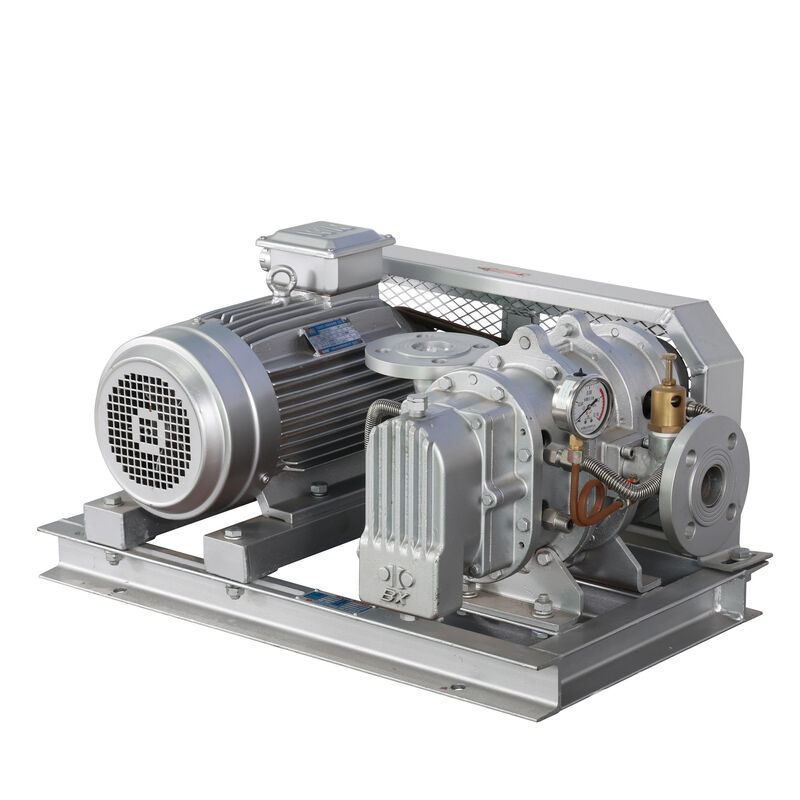 BX100 4' 3.18-11.74 m3/min 0.1-0.7 kgf/cm2 BX série souffleur de racines en acier inoxydable