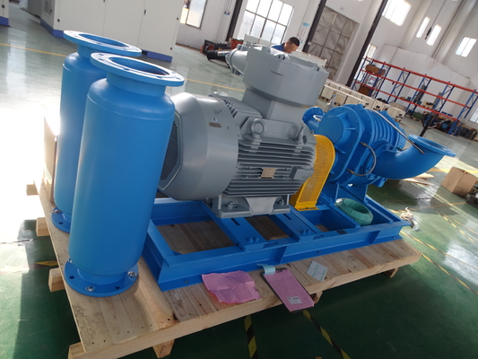 DN40 0.42-1.42 M³/min Soufflante Roots en acier inoxydable pour gaz spéciaux