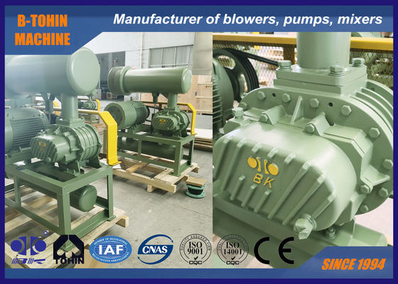 Type de racines de fonte de déplacement positif ventilateur pour Ash Blowing In Power Plant