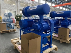 Nouveau type de souffleur de racines pour le traitement de l'eau